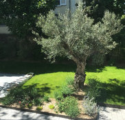 obtenez rapidement un devis personnalis&eacute; pour votre projet de r&eacute;novation &agrave; courbevoie. comparez les tarifs des artisans locaux et r&eacute;alisez vos travaux au meilleur prix.