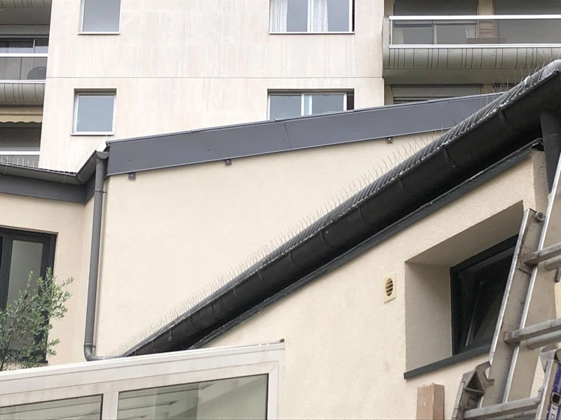 découvrez les services de rénovation dans le 14e arrondissement de paris par angot, expert en transformation et rénovation de vos espaces avec qualité et savoir-faire.